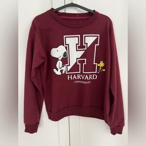 Peanuts Harvard University Sweater